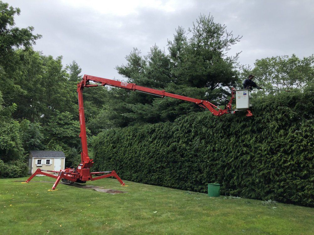 A red crane is cutting a tree in a yard.