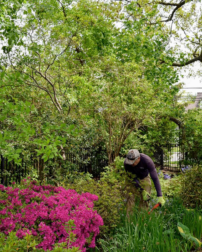 A man is working in a garden surrounded by trees and flowers.