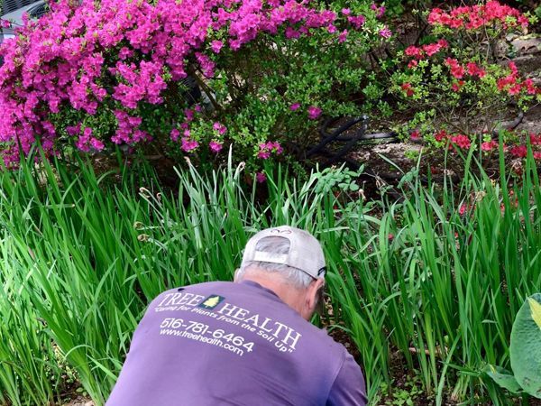 A man wearing a shirt that says true health is working in a garden