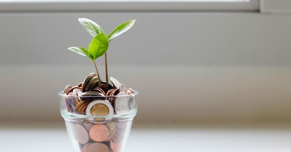 A money plant in a glass vase, representing investment management