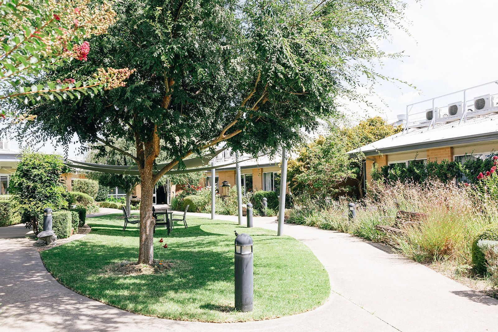 A paved path curves through a sunny courtyard with a grassy lawn, a central tree, outdoor seating, and nearby buildings.