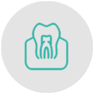 periodontally icon