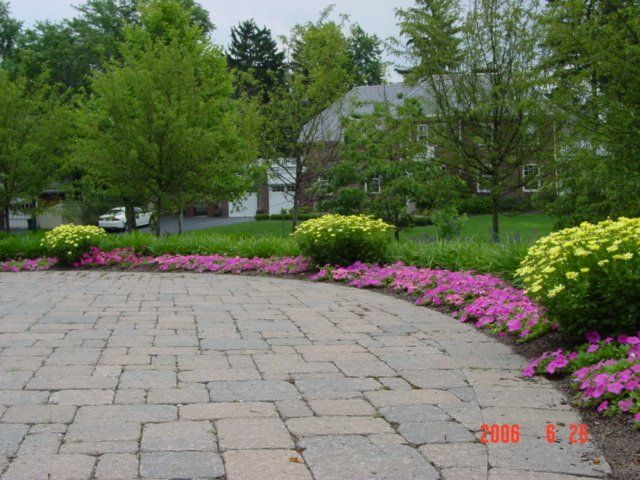 Beautiful Flowers on Empty Area — Columbus, OH — Scioto Landscaping