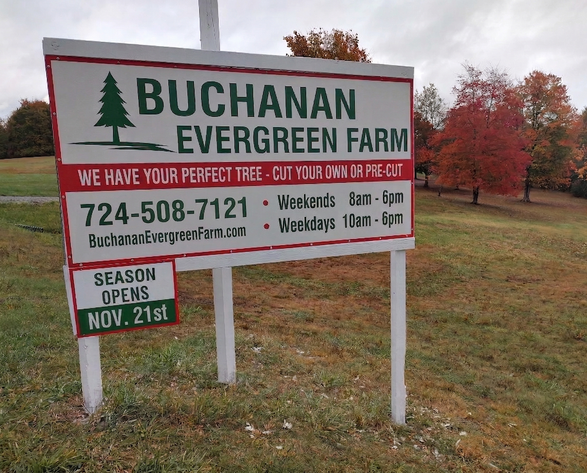 A sign for buchanan evergreen farms christmas trees