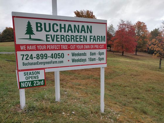 A sign for buchanan evergreen farms christmas trees