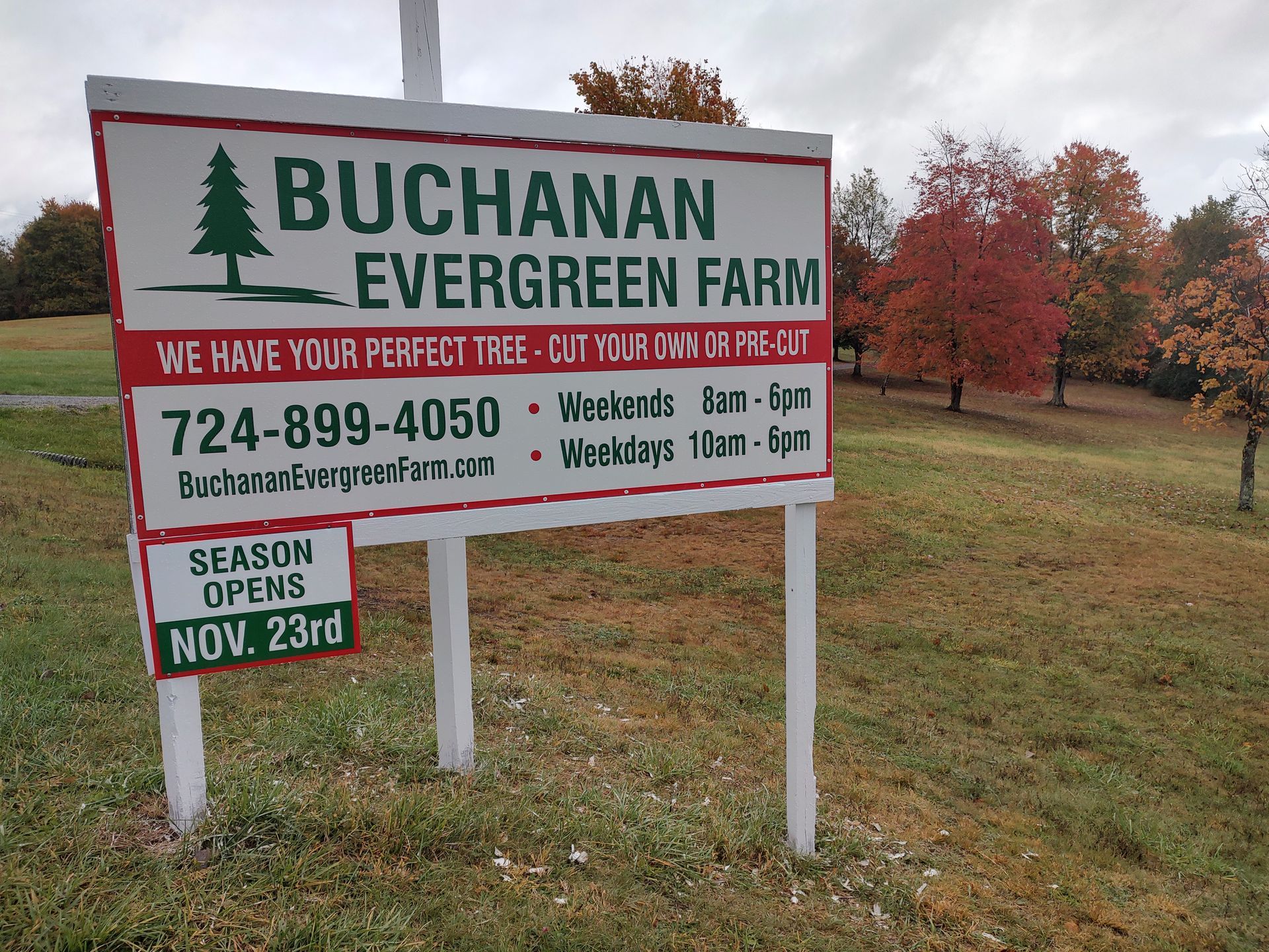 A sign for buchanan evergreen farms christmas trees