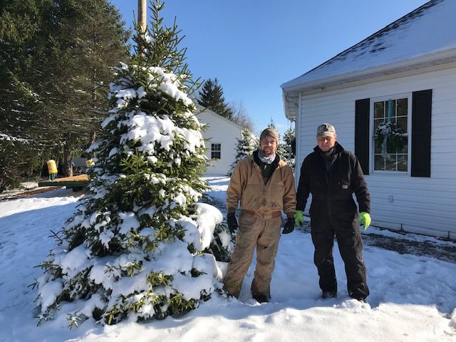 Two men standing in front of a snow covered christmas tree