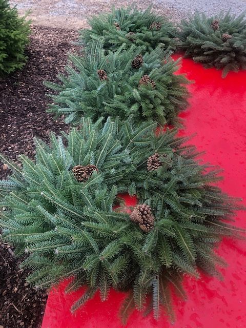 Fresh Live Wreaths