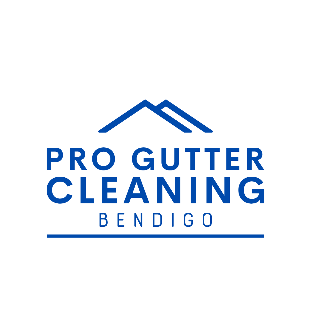 Expert Gutter Cleaning Service in Bendigo