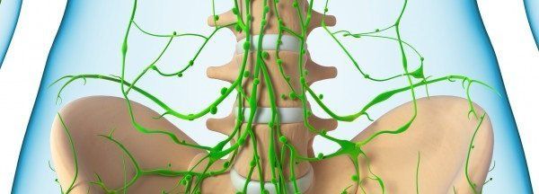 The Lymphatic System