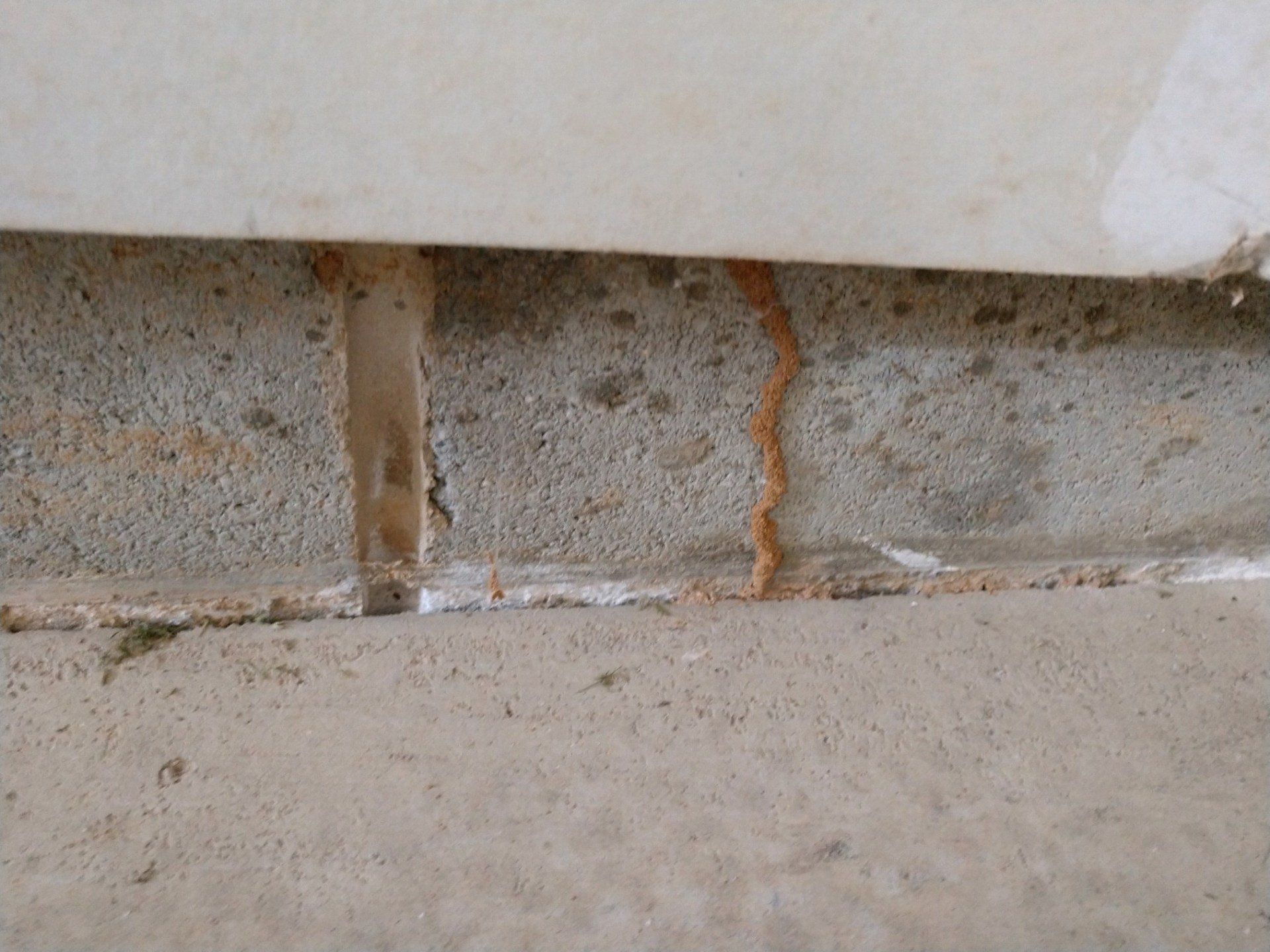 Termite Mud Tube - Wilmington, DE - Brownco Pest Control