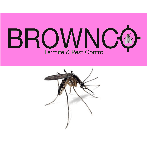 Pest Control L Wilmington De L Brownco Pest Control