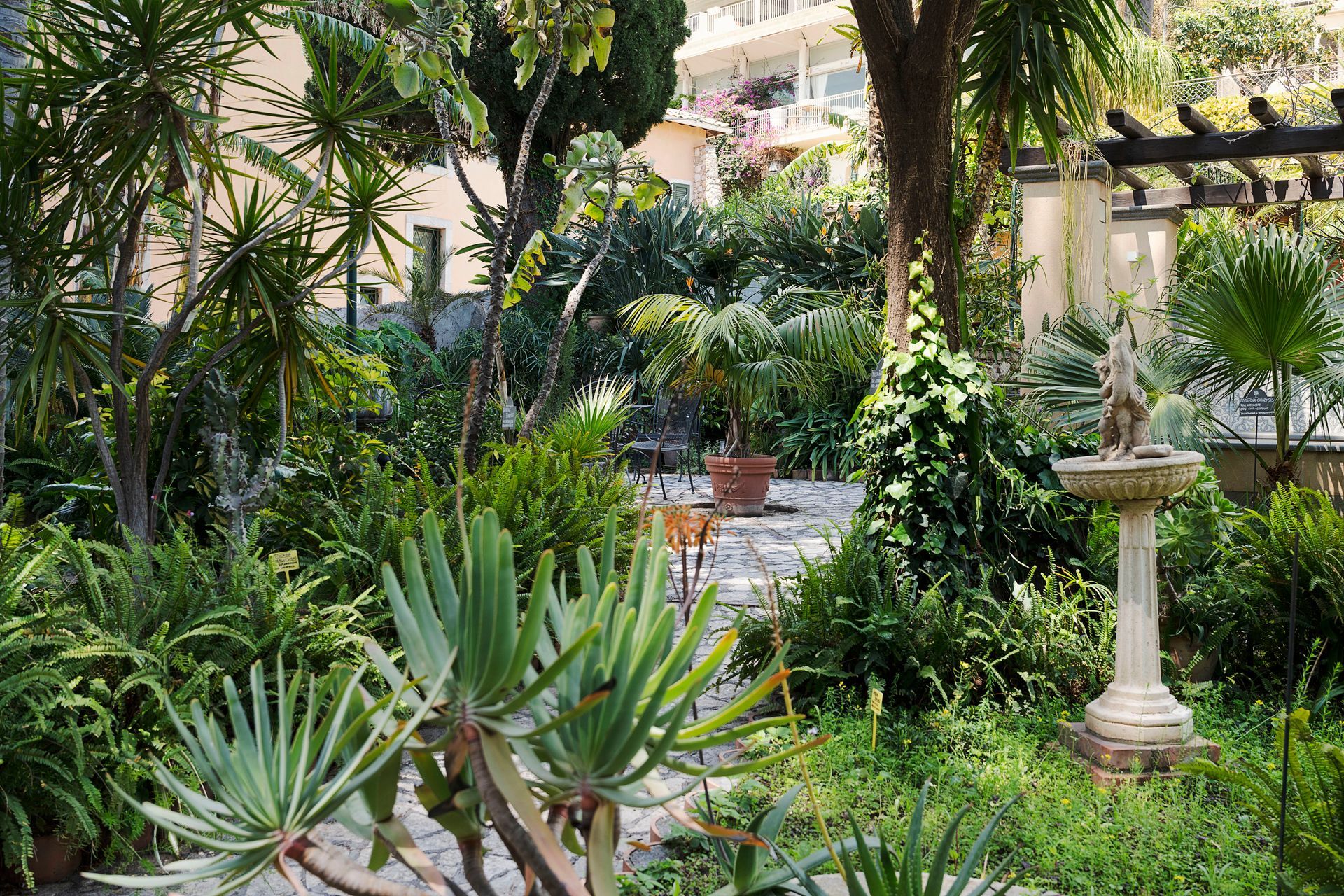 Lush garden with succulents, palm trees, and a stone birdbath beside a patio.