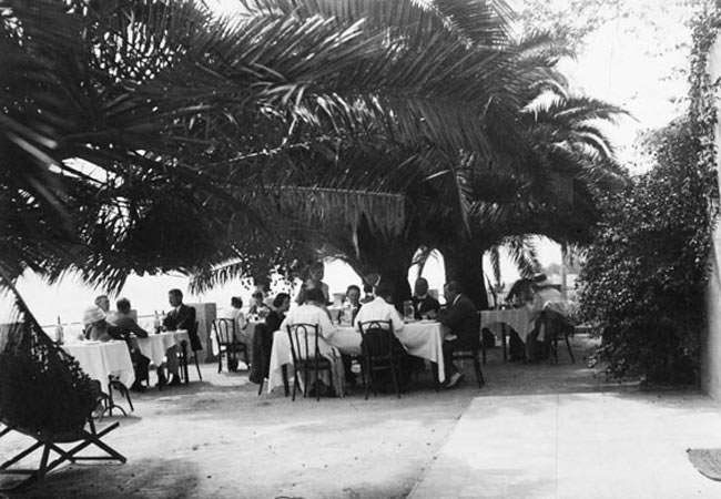 People seated at tables under large palm trees in an outdoor patio or garden setting.