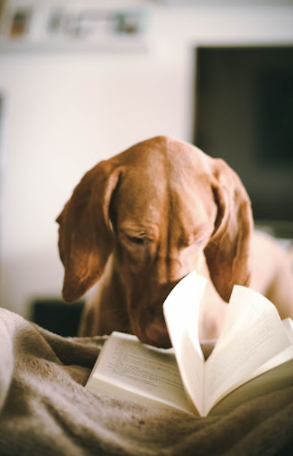 Man with dark hair and stubble in a denim shirt, looking directly at the camera against a blue backdrop.