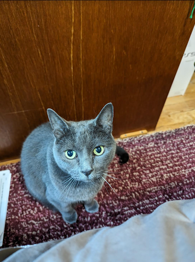 Woman with dark hair, smiling, wearing a light blue cardigan, against a blue background.