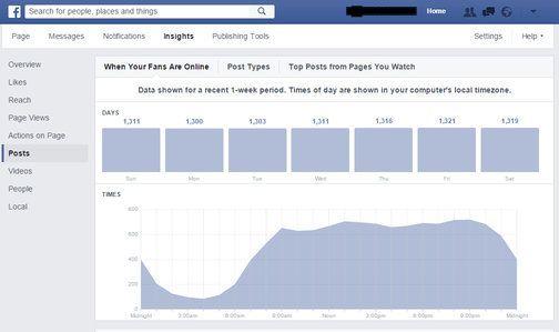 Informazioni sulla pagina Facebook: persone online, con dati settimanali in un grafico a barre.