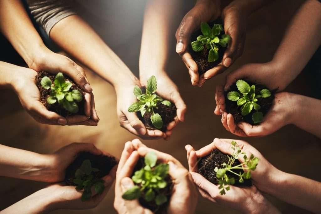 Mani che tengono piantine, promuovendo l'ambientalismo e la comunità. Diverse tonalità di pelle, tonalità terrose.