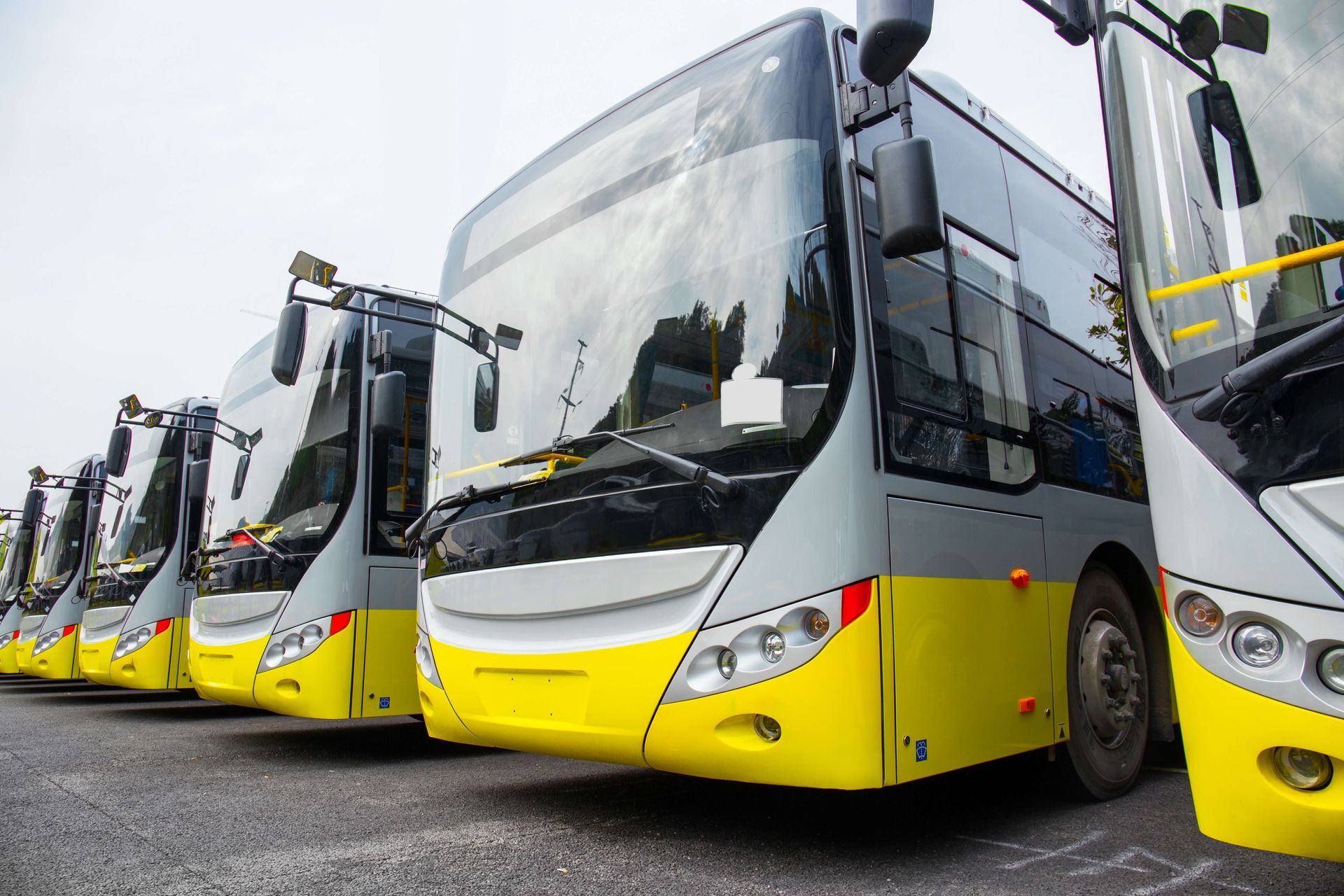 Row of white-and-yellow city buses parked in a depot