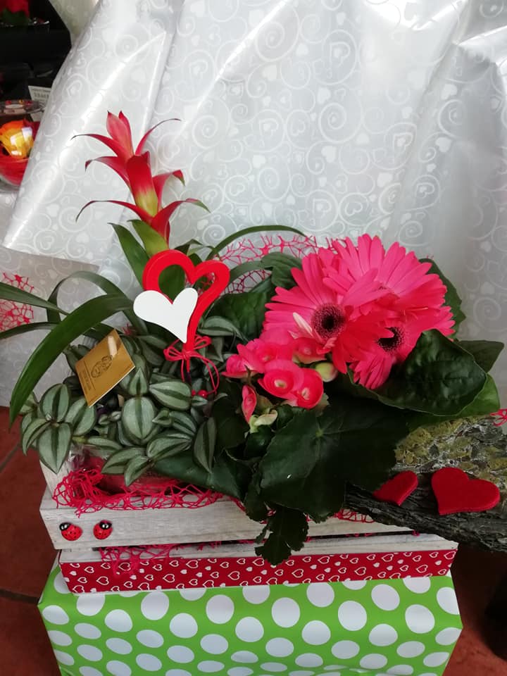 composizione floreale con gerbere