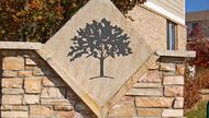 A stone wall with a tree on it