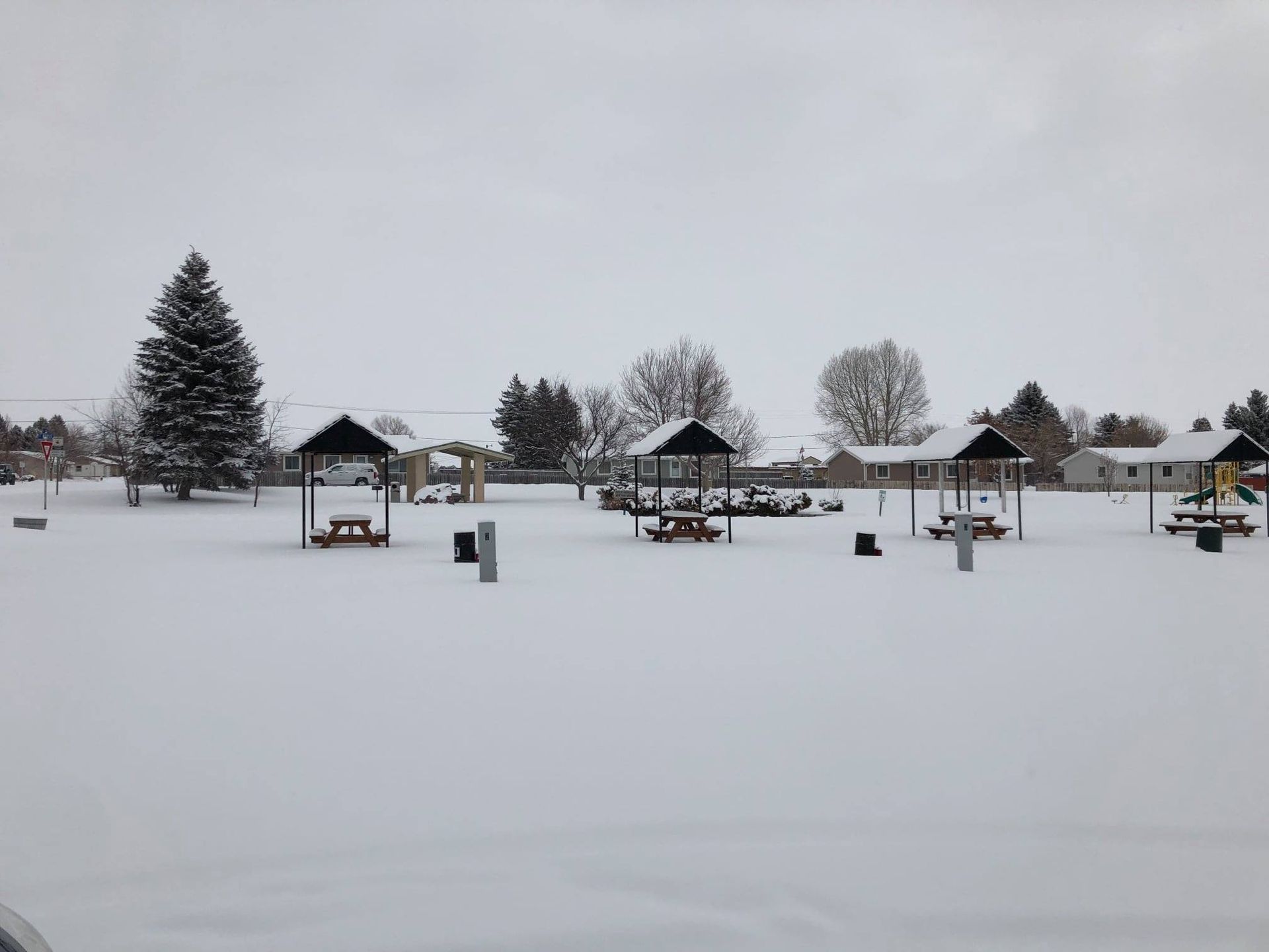 A snowy park with a christmas tree in the background