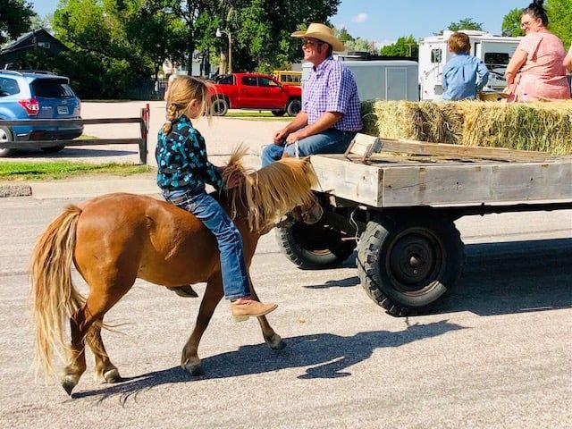 A little girl is riding a pony pulling a wagon.