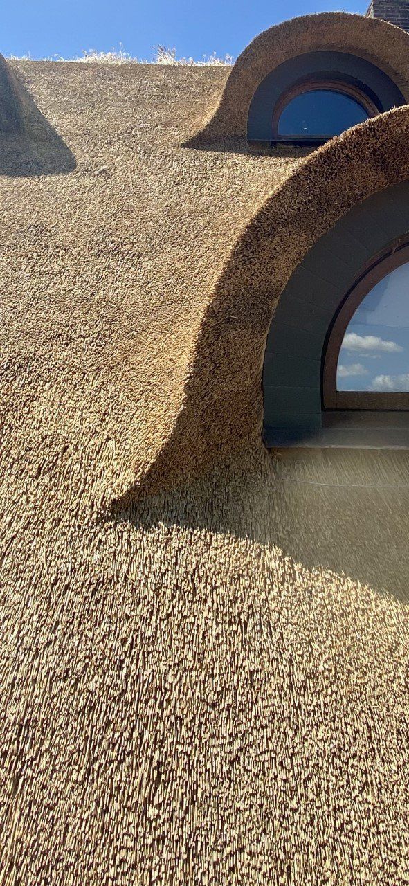 Een close-up van een rieten dak met een raam.