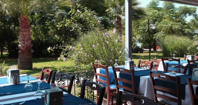Cactus Paradise | Best Rate Guarantee