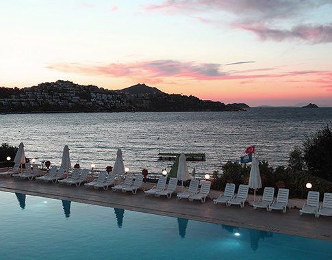 Restaurant & Bar | Cactus Mirage | Best Rate Guarantee