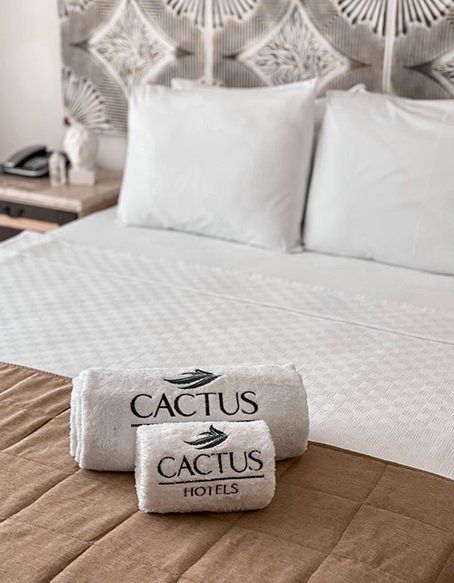 Cactus Fleur Beach Hotel, Suite Room