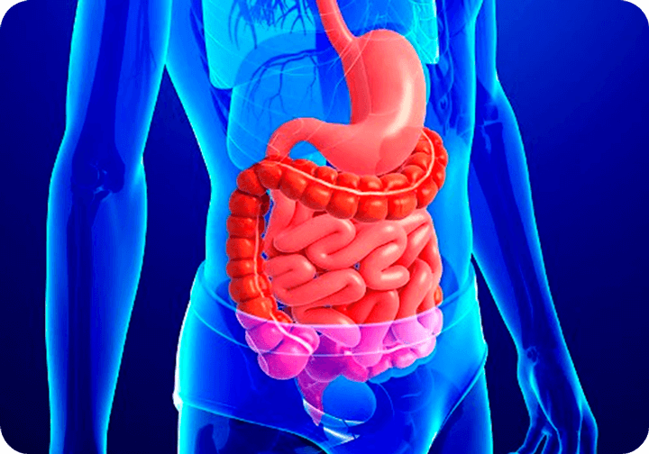 DR. ROBERTO RODRÍGUEZ CEDEÑO