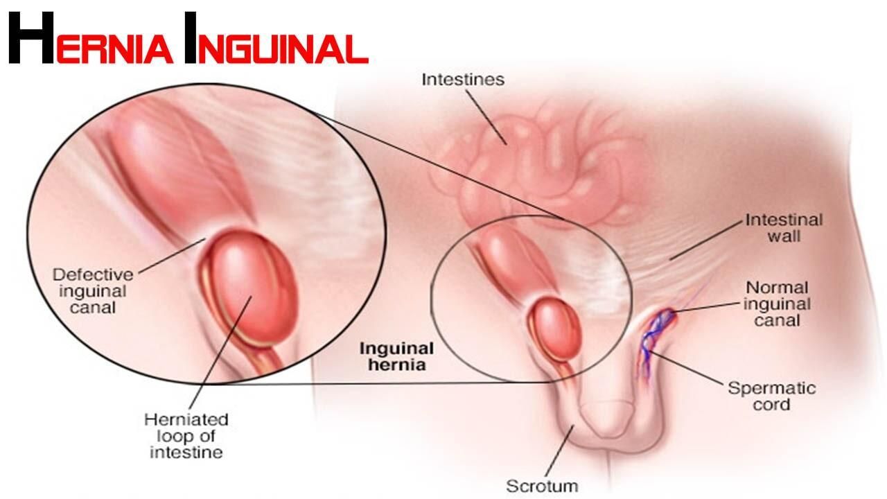 DRDR. ROBERTO RODRÍGUEZ CEDEÑO. ROBERTO RODRÍGUEZ CEDEÑO