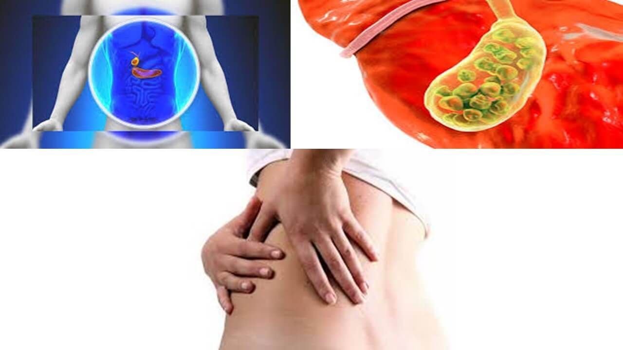 DR. ROBERTO RODRÍGUEZ CEDEÑO