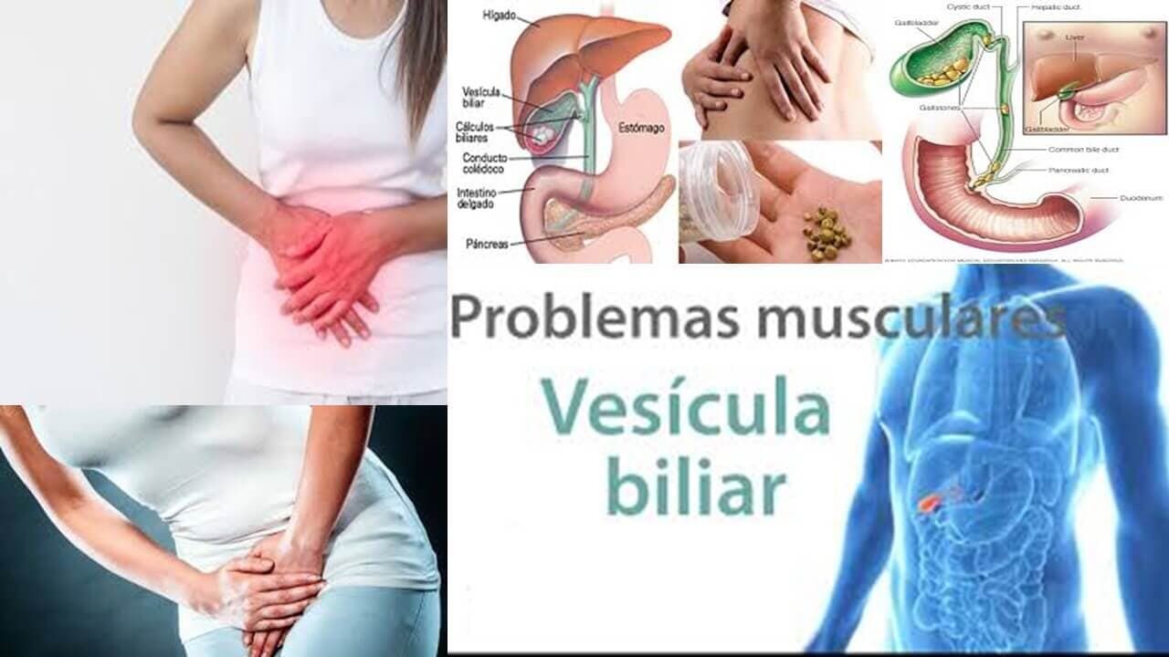 DR. ROBERTO RODRÍGUEZ CEDEÑO