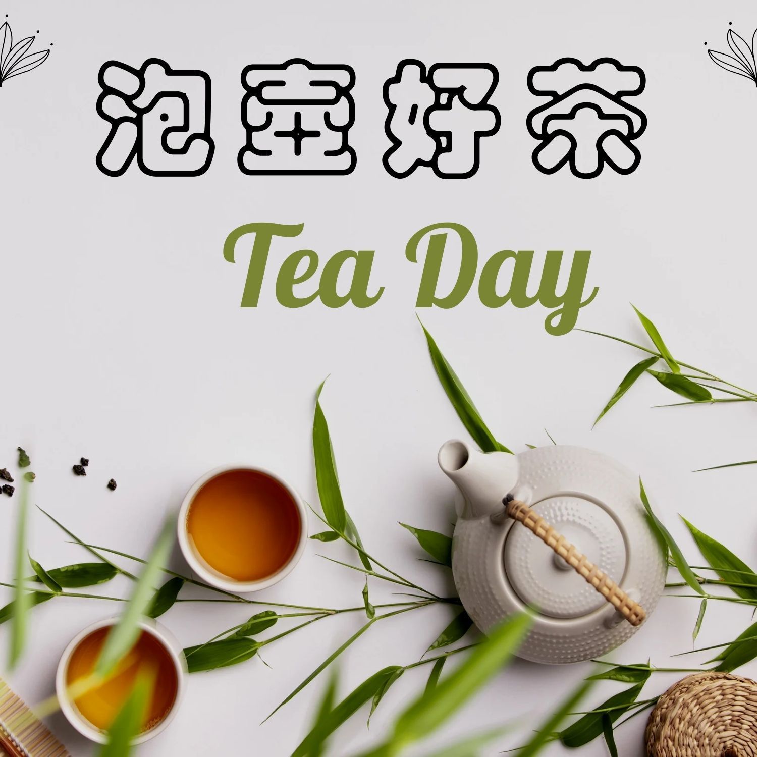 杉林溪高山立體茶包