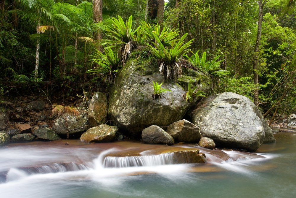Murwillumbah — Unblock Pipe Clearing in Mullumbimby, NSW
