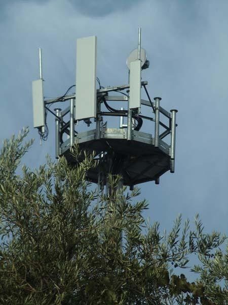 Una torre con antenne in cima è circondata da alberi