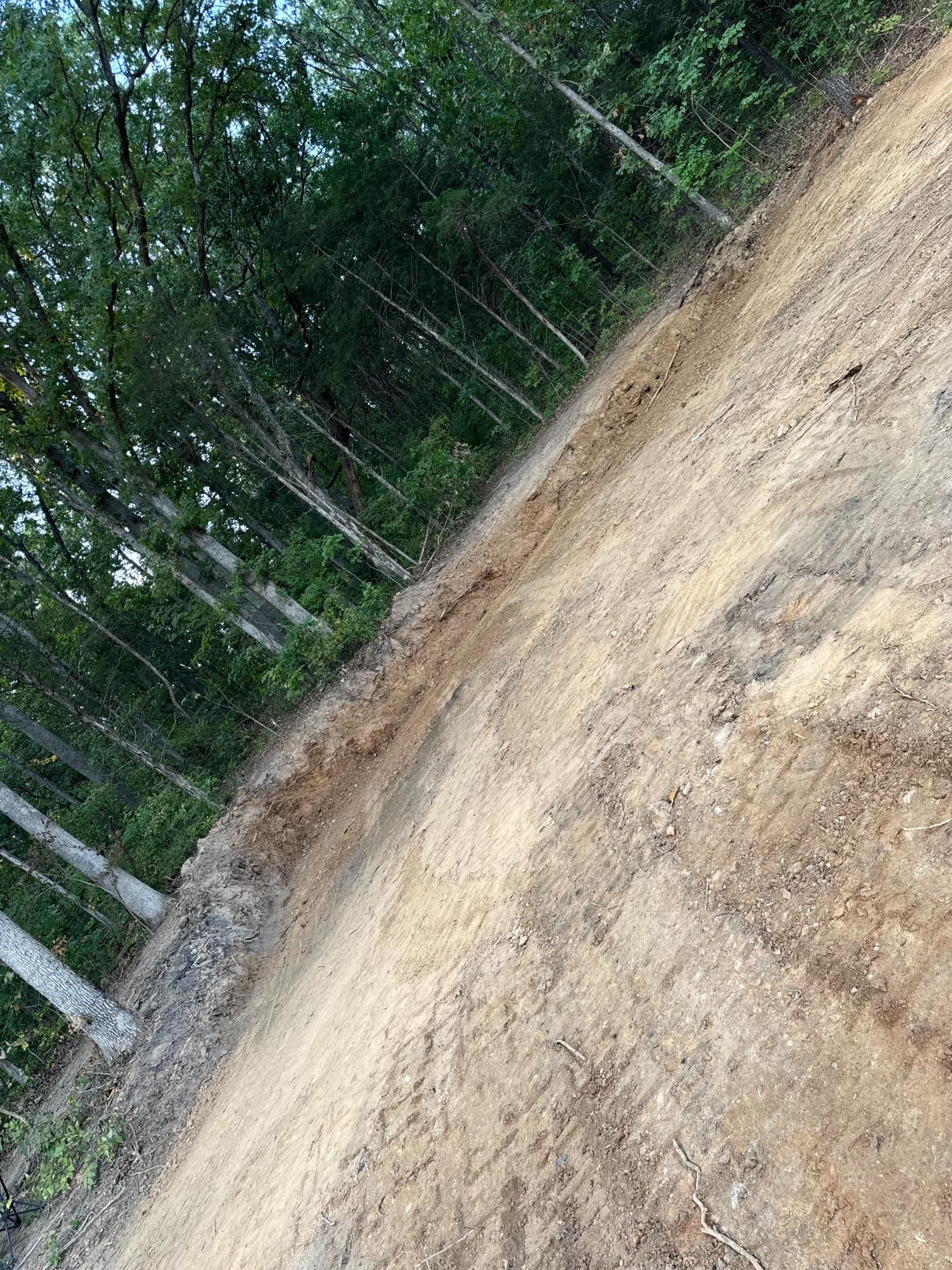 A dirt road going through a forest with trees on both sides.