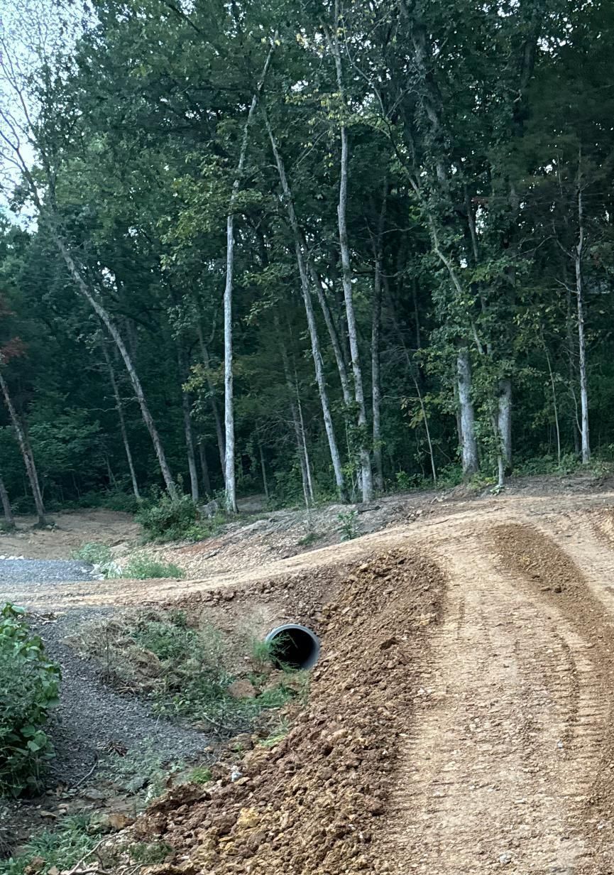 A dirt road in the middle of a forest with trees in the background.