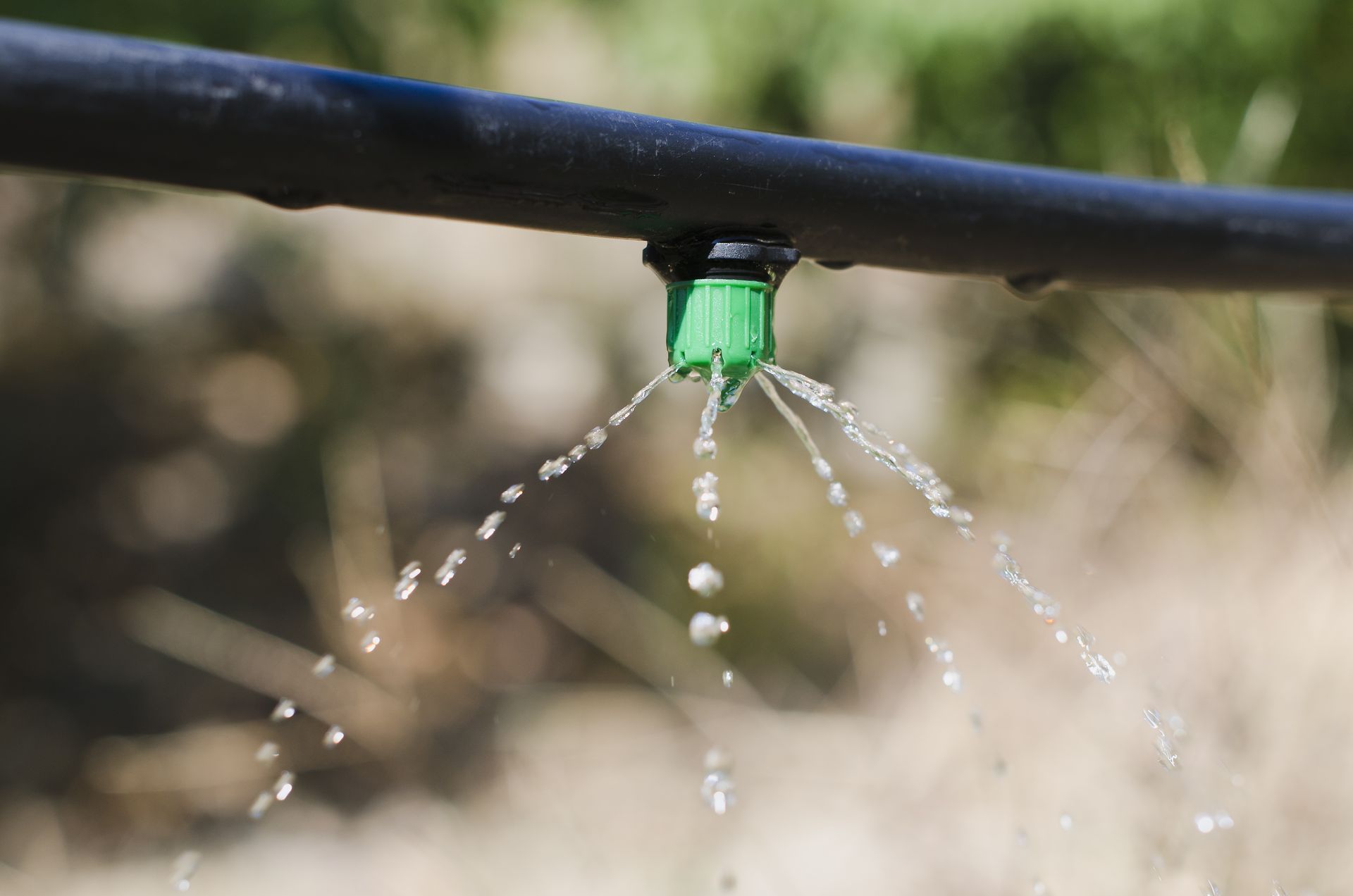Black irrigation pipe with a green emitter spraying water droplets.