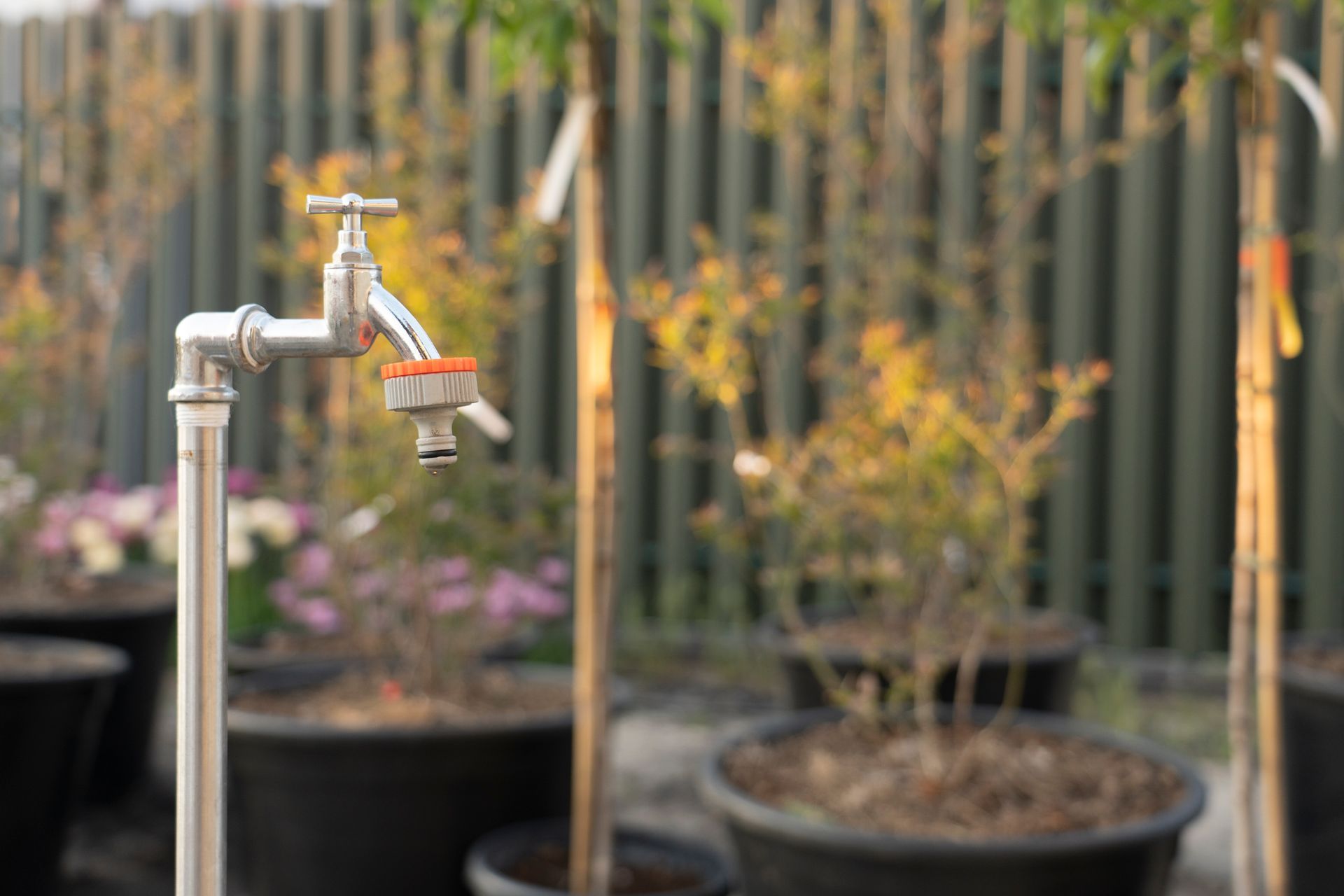 Outdoor faucet with trees in pots in a garden setting.