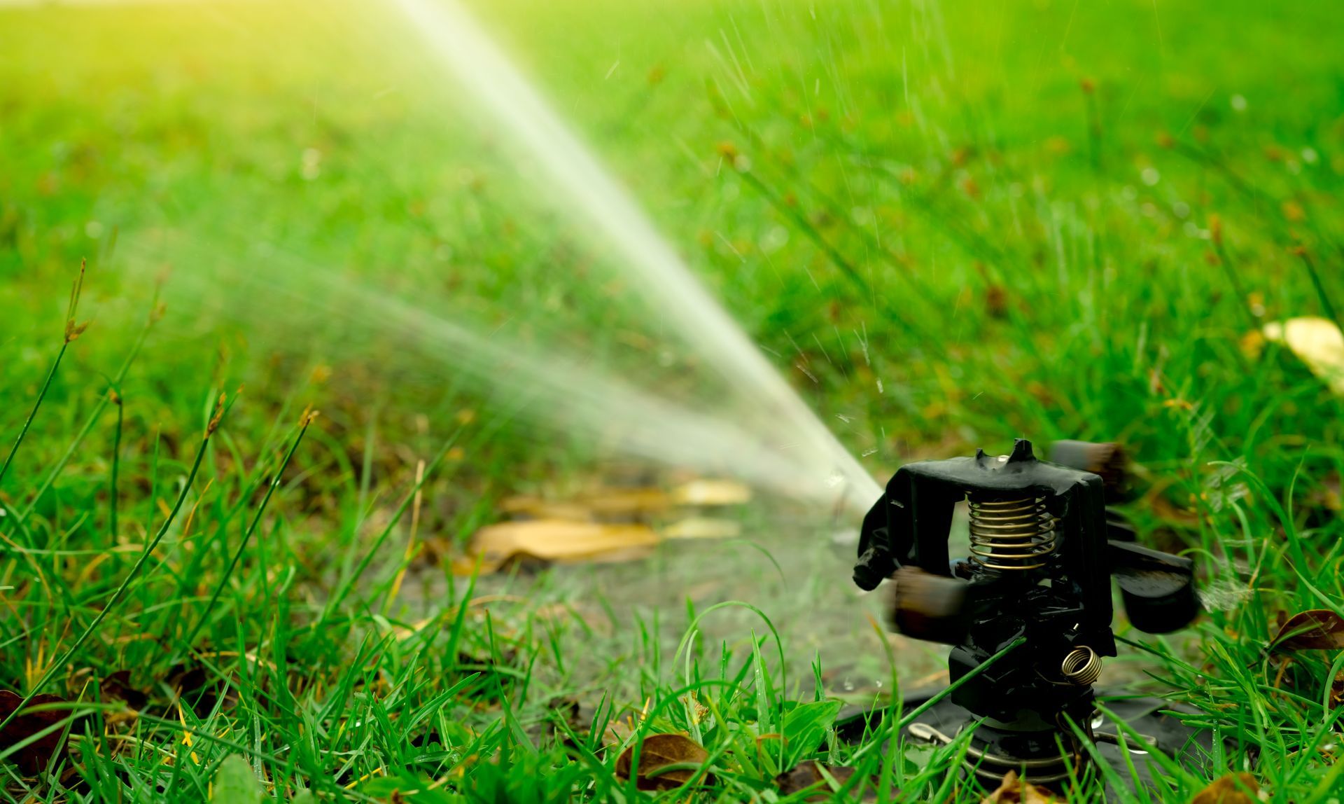 A sprinkler is spraying water on a lush green lawn.