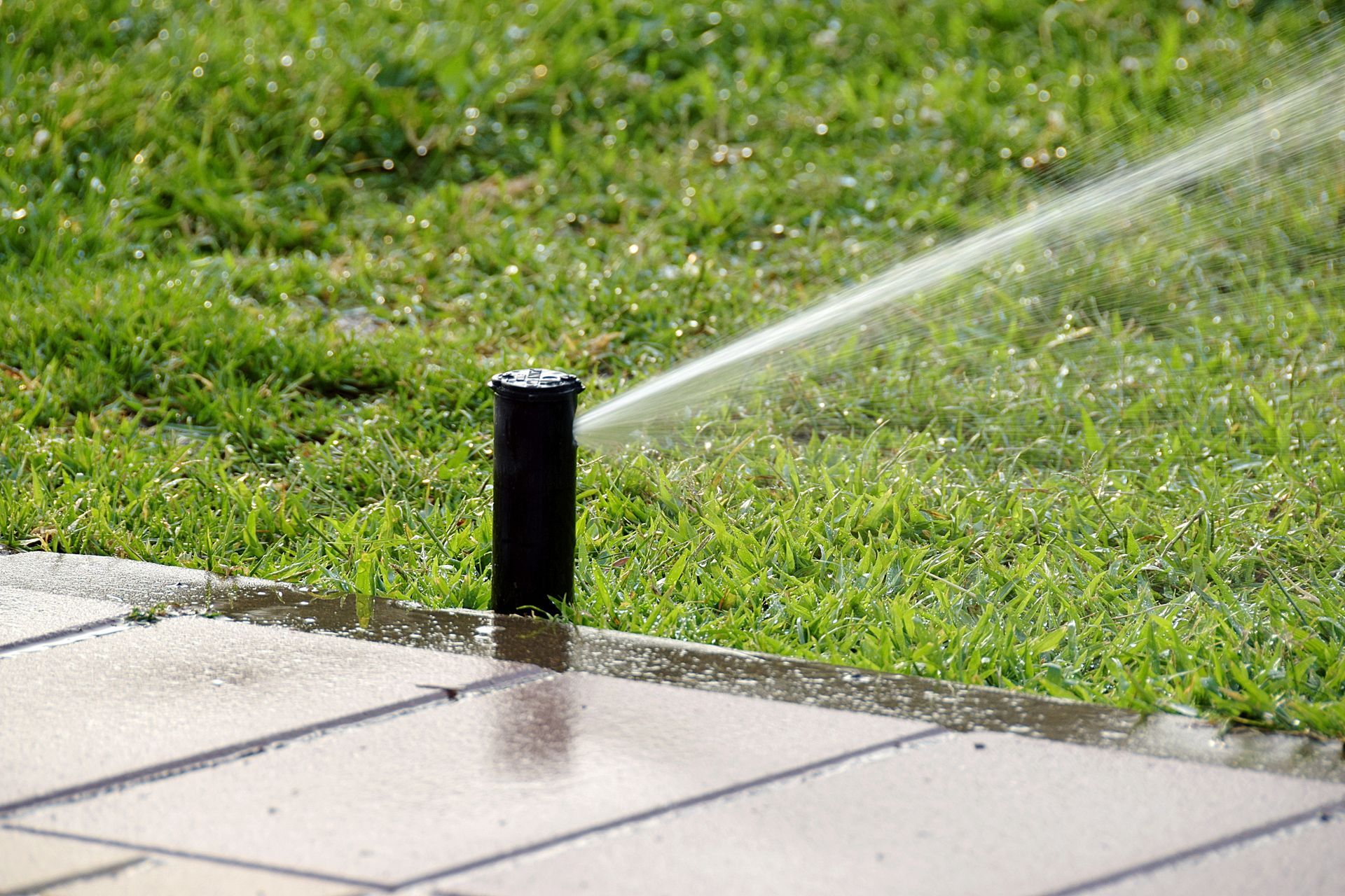 A sprinkler is spraying water on a lush green lawn.