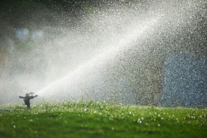 A sprinkler is spraying water on a lush green field.