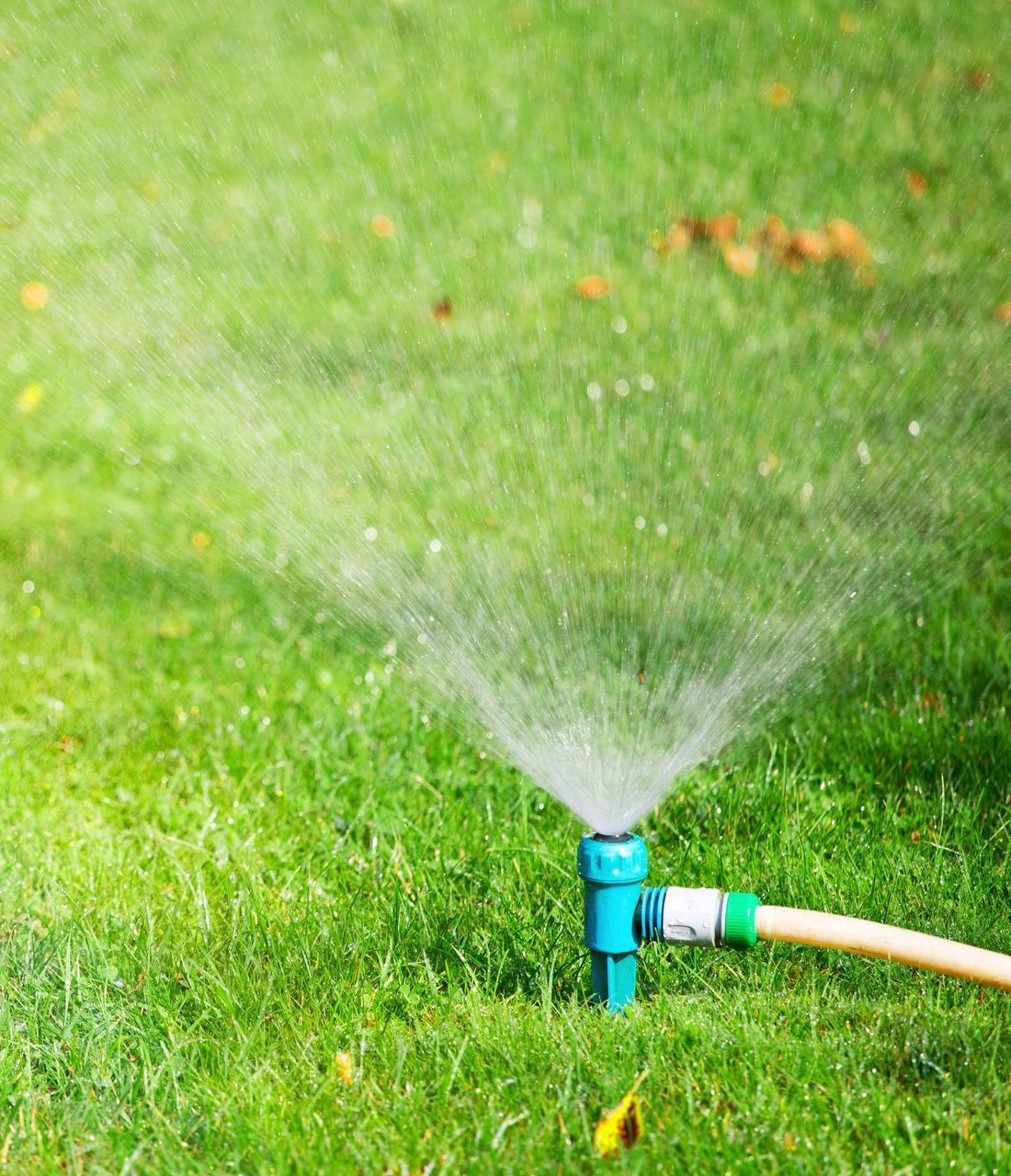 A sprinkler is spraying water on a lush green lawn.