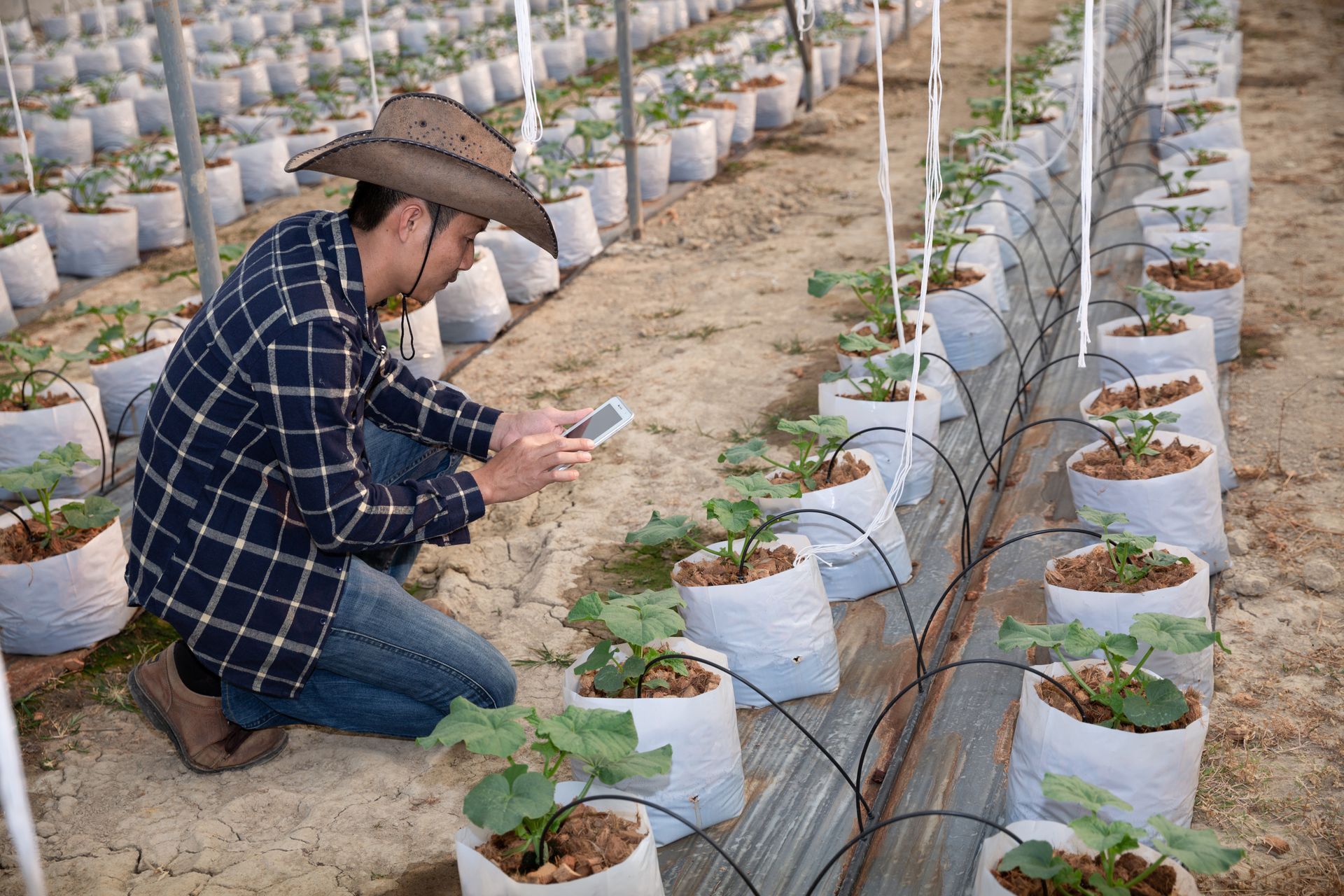 A man is kneeling down in a greenhouse looking at a cell phone.