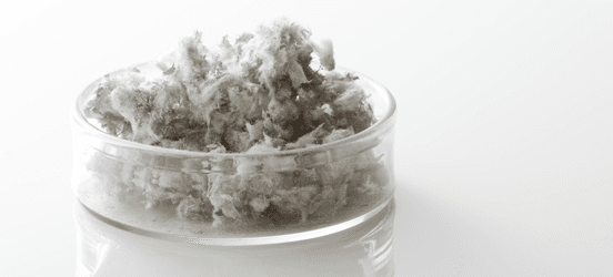 Asbestos in a dish