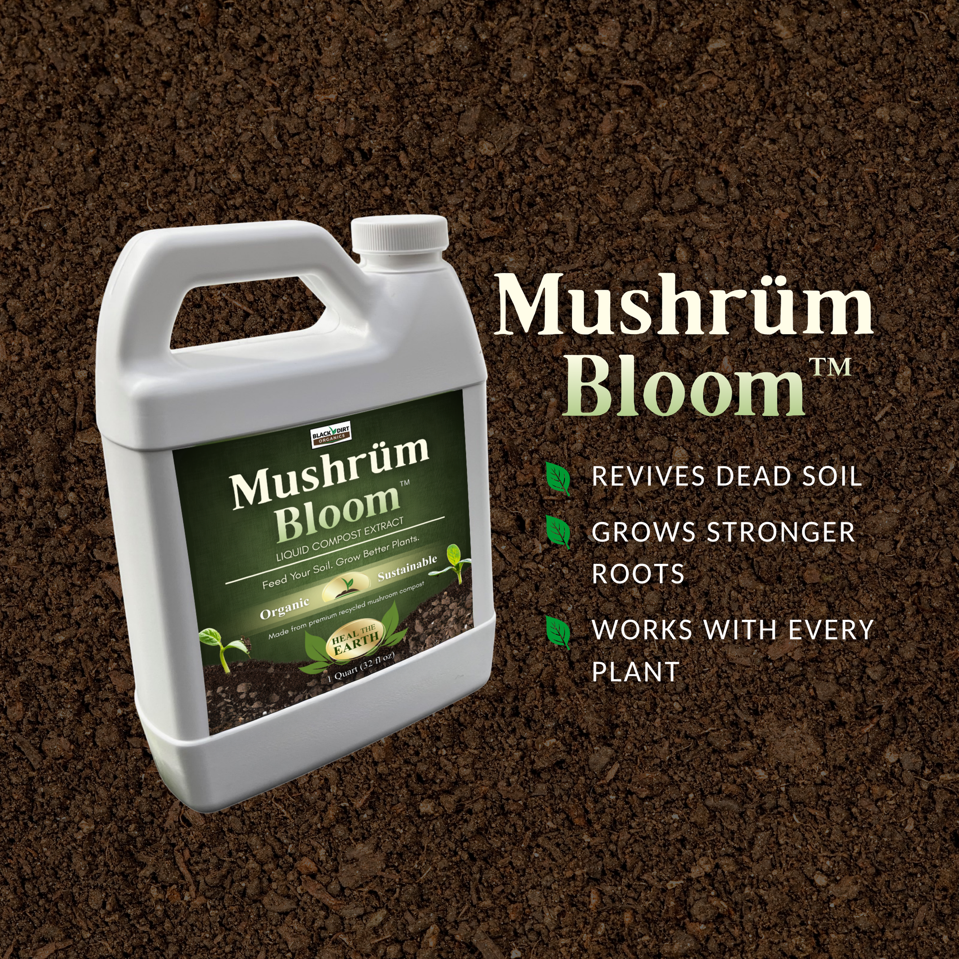 Watering basil plants in a garden with a green hose, sunny outdoor setting.