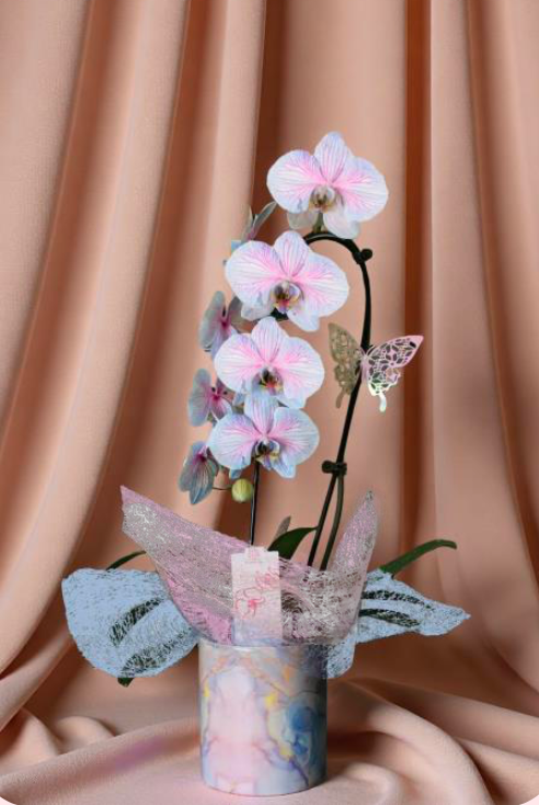 Mother's Day Mystical Infused Waterfall Orchid